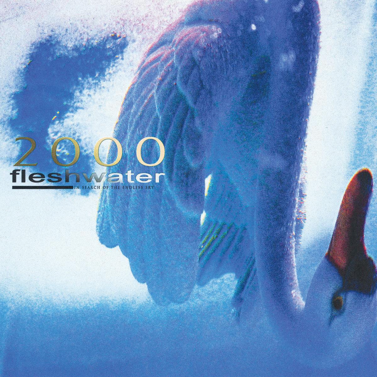 Fleshwater / 2000: In Search of the Endless Sky