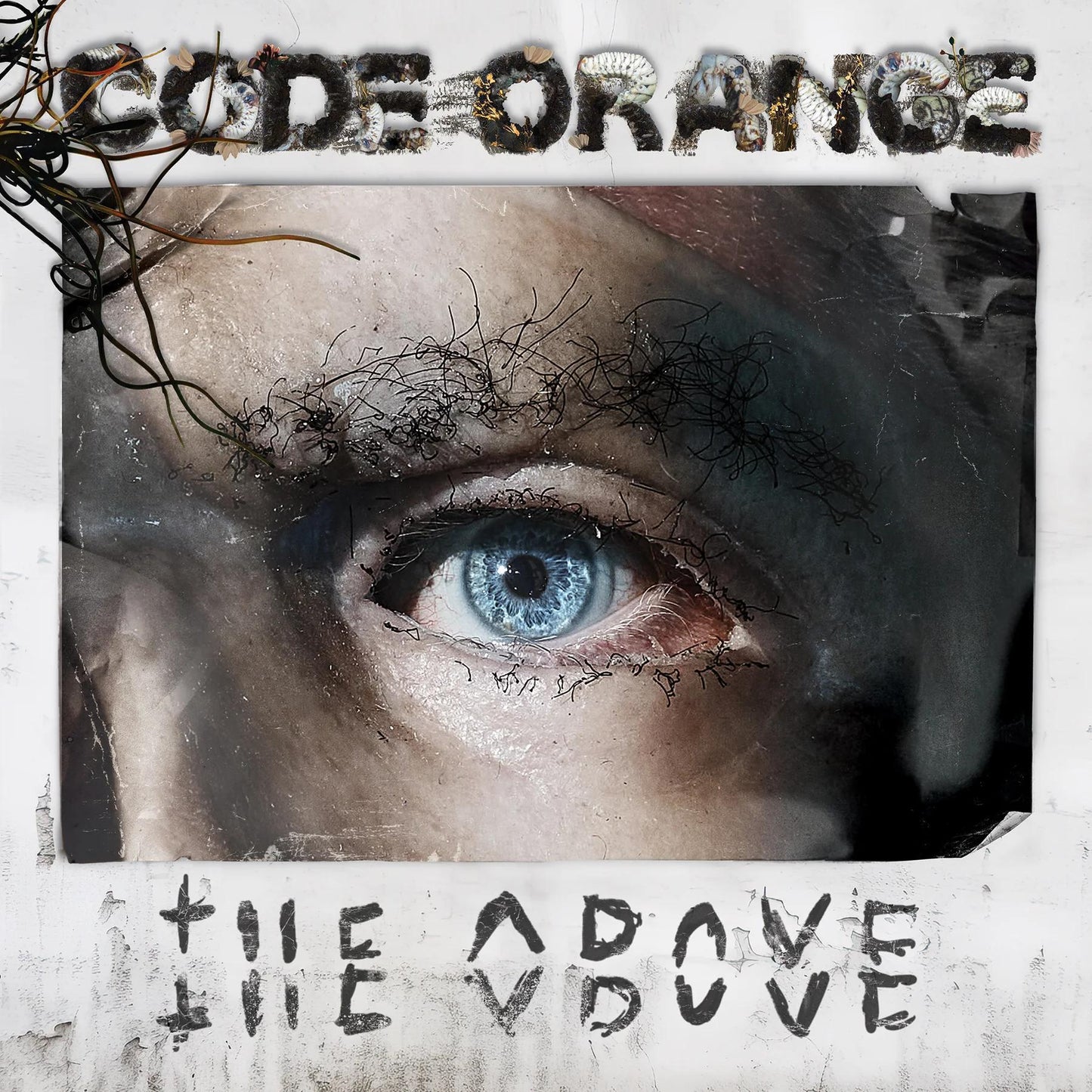 Code Orange / The Above