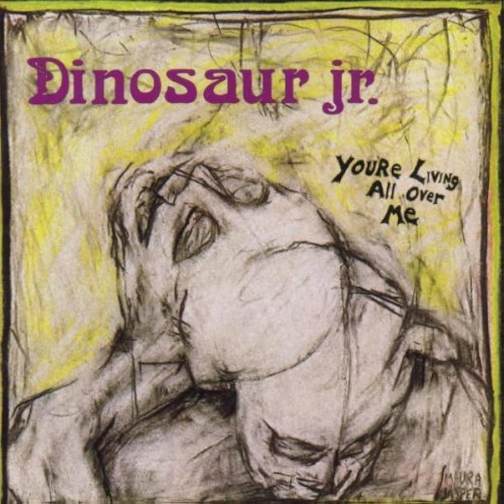 Dinosaur Jr. / You're Living All Over Me