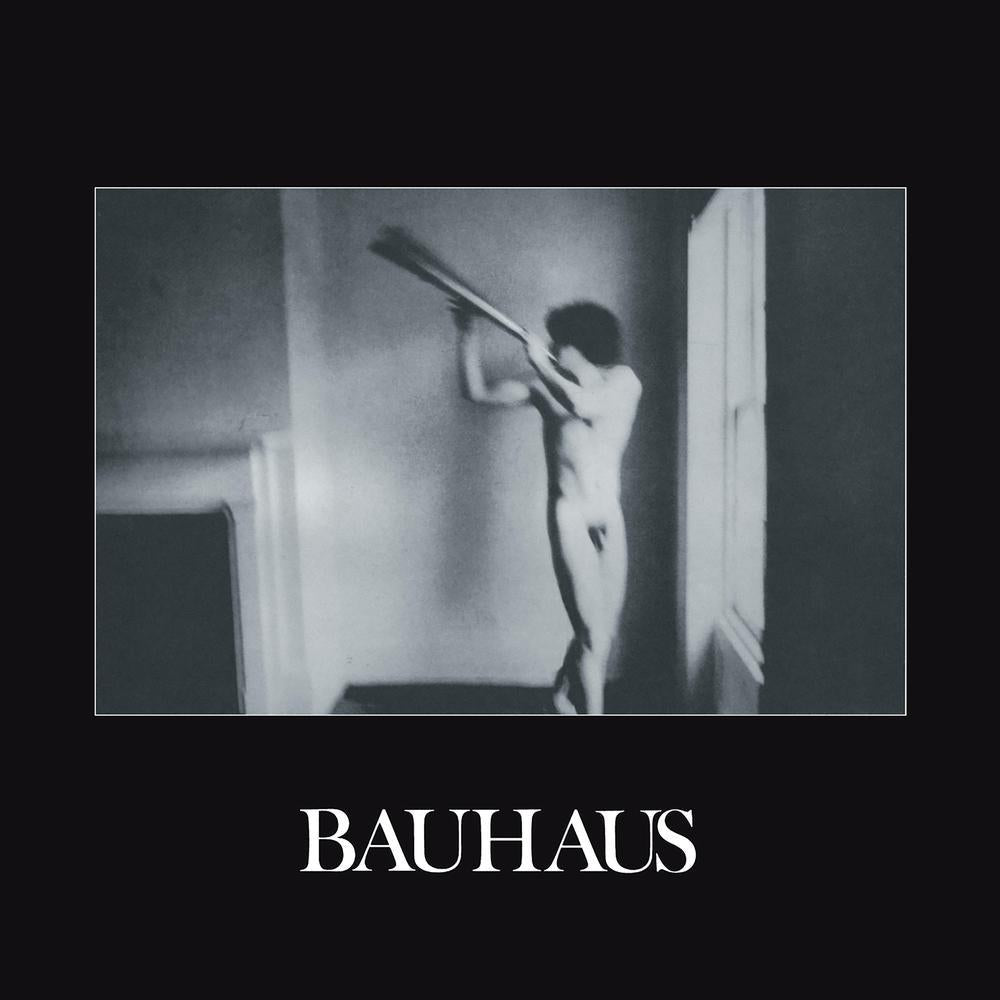 Bauhaus / In The Flat Field