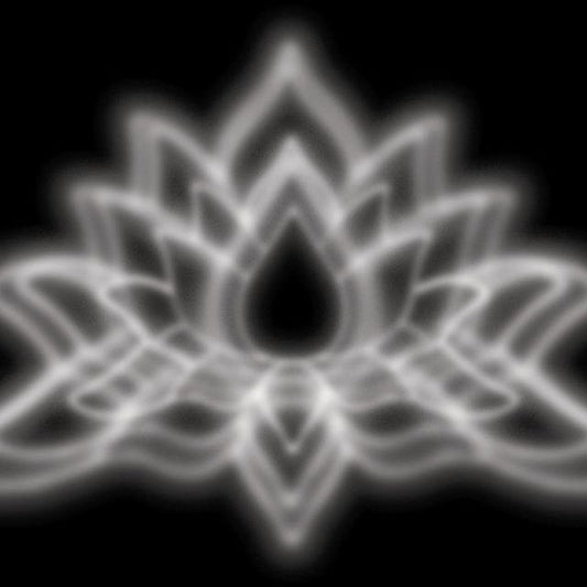 PREORDER: AUTOGRAPHED Billy Corgan / Chrome Jets Black Vinyl
