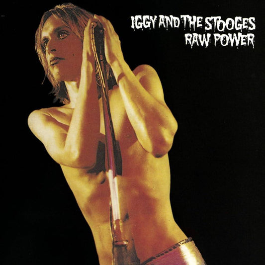 Iggy & The Stooges / Raw Power