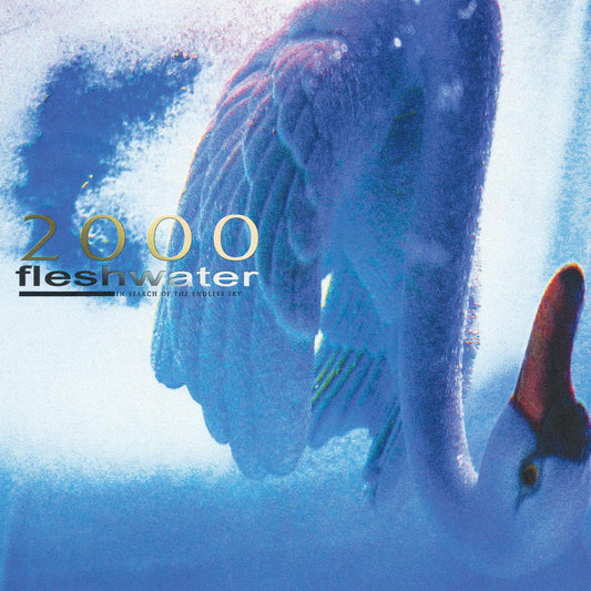 Fleshwater / 2000: In Search of the Endless Sky