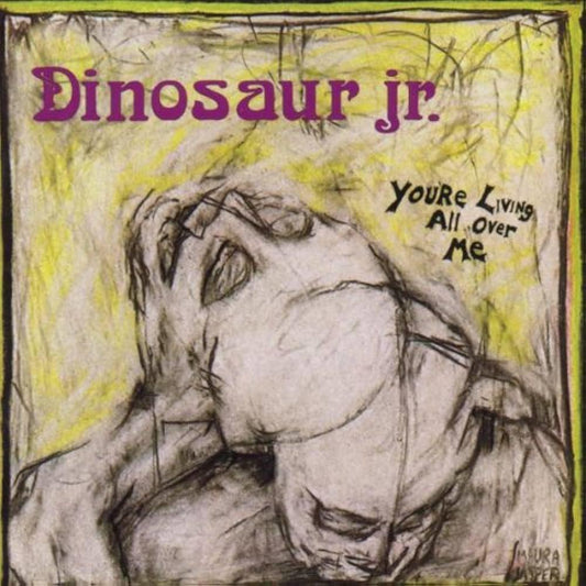 Dinosaur Jr. / You're Living All Over Me