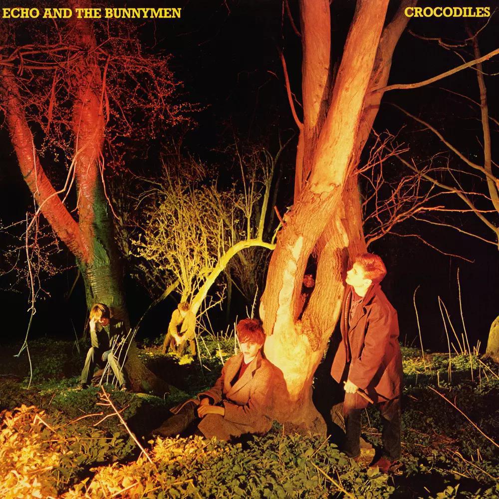 Echo & The Bunnymen / Crocodiles