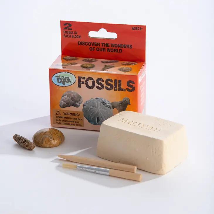 Mini Excavation Kit: Fossils