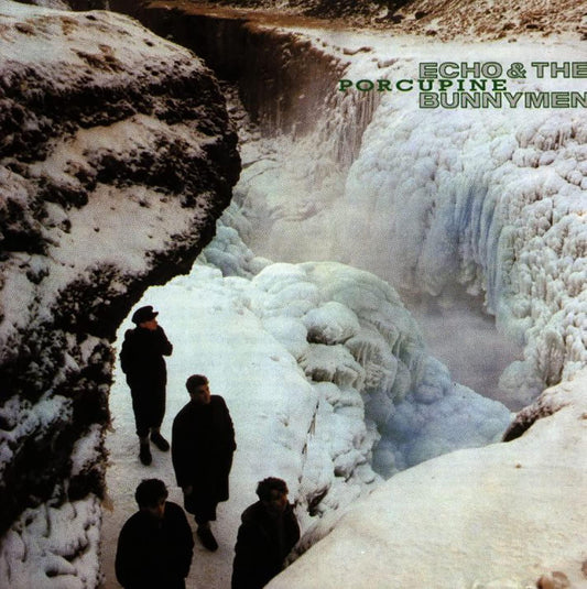 Echo & The Bunnymen Porcupine Vinyl